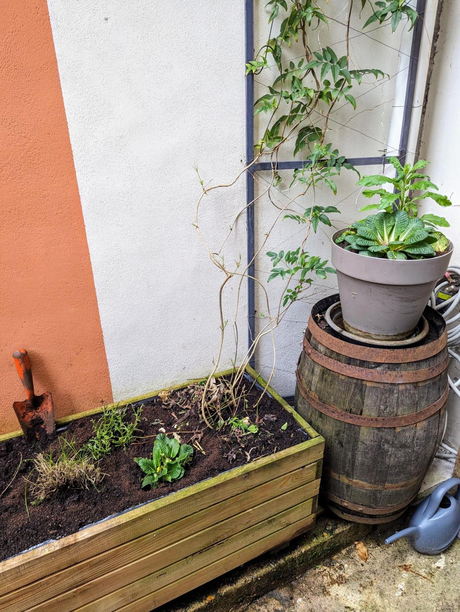 Artist Home - City Center - Bathtub - Terrasse - Full Appartment Rouen Exteriör bild